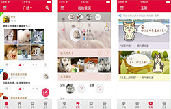 寵物垂直電商APP開(kāi)發(fā)兩個(gè)方向