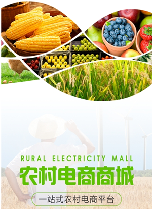 農村電商軟件開(kāi)發(fā)破局關(guān)鍵是什么