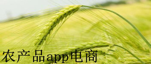 農產(chǎn)品電商app開(kāi)發(fā)真的便捷嗎