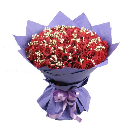 專(zhuān)業(yè)的養花管理app開(kāi)發(fā)成為愛(ài)花者大本營(yíng)