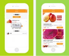 生鮮水果APP開(kāi)發(fā)運營(yíng)模式分析