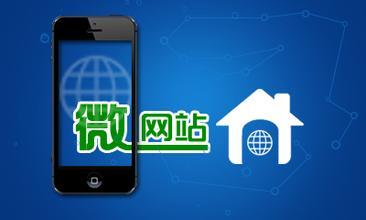 微網(wǎng)站開(kāi)發(fā)有什么商業(yè)價(jià)值