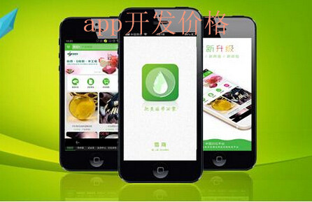APP開(kāi)發(fā)大概需要多少錢(qián) 