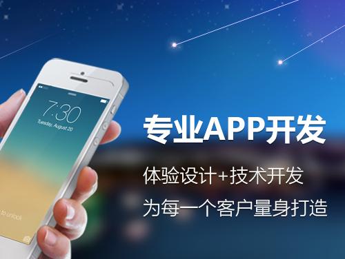 APP軟件開(kāi)發(fā)