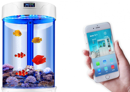 智能魚(yú)缸APP開(kāi)發(fā)給養魚(yú)一族提供便利-廣州app外包公司酷蜂科技