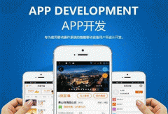 一家專(zhuān)業(yè)的APP開(kāi)發(fā)公司會(huì )提供什么服務(wù)