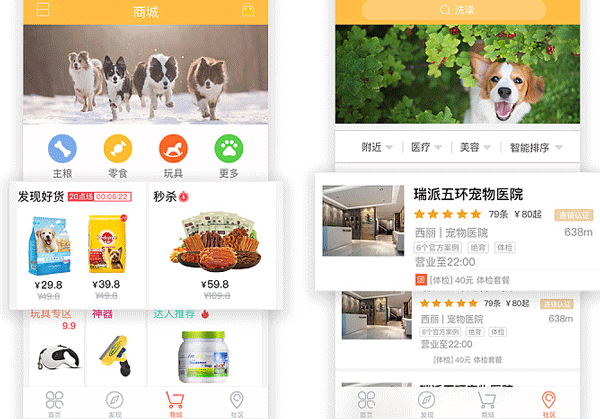 寵物服務(wù)APP開(kāi)發(fā) 養寵更自如--廣州軟件制作公司酷蜂科技