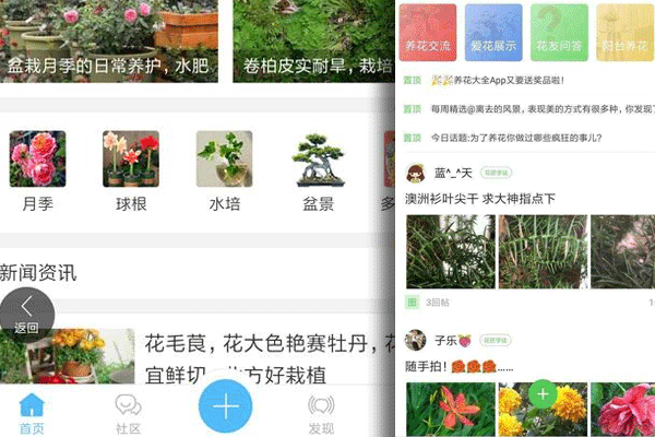 花友交流app開(kāi)發(fā)養花種草經(jīng)驗交流平臺--廣州app公司酷蜂科技