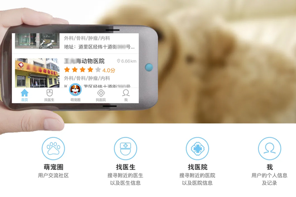 開(kāi)發(fā)寵物助手移動(dòng)應用滿(mǎn)足養寵需求--app開(kāi)發(fā)公司廣州酷蜂科技