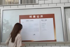 開(kāi)發(fā)村委會(huì )公眾號提升村務(wù)公開(kāi)透明度增強村民參與度